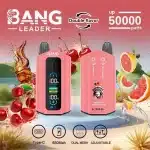 Double saveurBang Leader 50000 Puffs 50k — Guide complet, simple et pratique (FR)bang leader puffs disposable dual flavors mouthpiece exchang