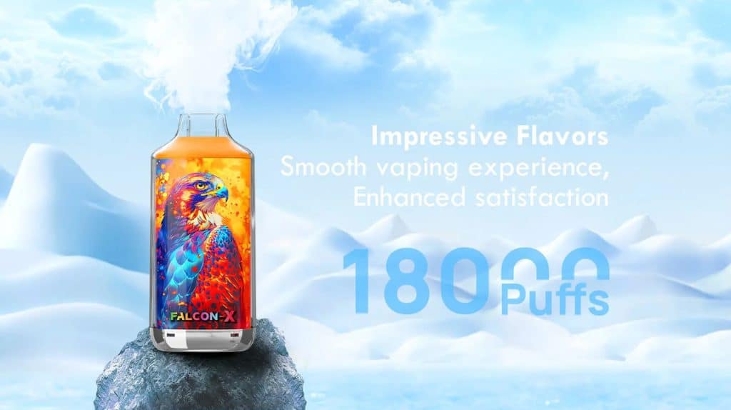 NewsPuff JNR 18k vs. Concurrenten : De ultieme koopgids in Frankrijkfalcon x info