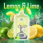 Puff 12kFUMOT Digital Box 12K 12000 Puff— Le Guide FR Ultime (Specs, Autonomie, Conseils)wholesale original randm tornado digital box k puffs vapes