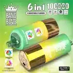 Saveurs 6 en 1Bang Blaze 100000 Puffs 100K 6 in 1 : Guide Complet 2025 | PUFF9Kimgi bang blaze puffs