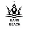 Nos partenairesimgi bang beach x