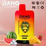 Double saveurBang Leader 45000 Puffs 45k 2 en 1 : Le Test Ultime de la Vape Double Saveurimgi bang leader puffs k in disposable vape