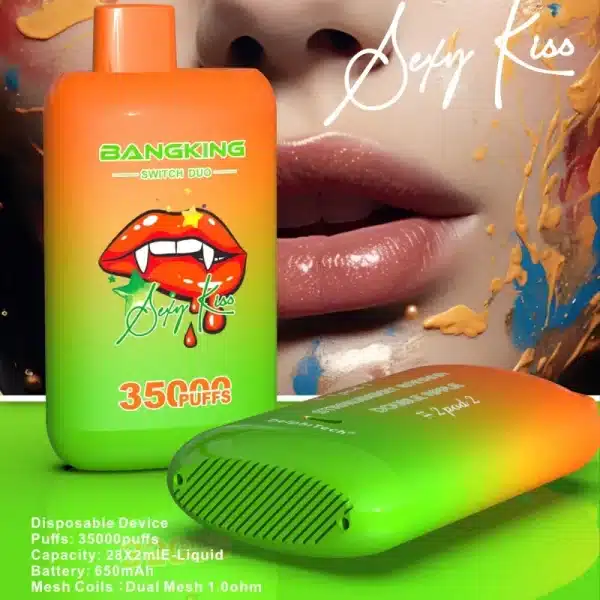 Double saveurBang King 35000 Puffs 35K Switch Duo : Le Test Complet et Avis Définitif 2025imgi bang king switch duo puffs dual flavors
