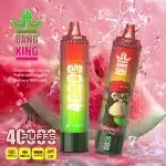 Puff 40kBang King 40000 Puffs : Le Guide Ultime de la Vape Jetable Haute Capacitéimgi bang king puffs