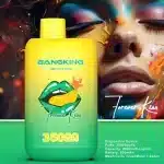 Double saveurBang King 35000 Puffs 35K Switch Duo : Le Test Complet et Avis Définitif 2025imgi bang king switch duo puffs dual flavors