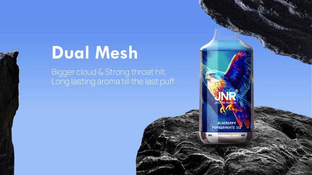 NieuwsJNR Falcon 16000 smaken: de complete gids en uitgebreide recensiesfalcon info