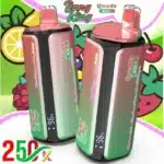 Saveurs 4 en 1Bang King 250K Puffs 4 en 1 Vapebang king k puffs