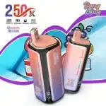 Saveurs 4 en 1Bang King 250K Puffs 4 en 1 Vapebang king k puffs