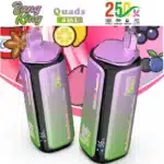 Saveurs 4 en 1Bang King 250K Puffs 4 en 1 Vapebang king k puffs